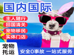 张掖甘州空运公司国际宠物托运 【国
